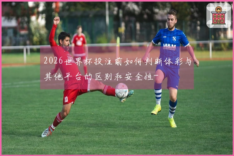 2026世界杯投注前如何判断体彩与其他平台的区别和安全性-