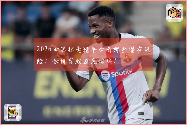 2026世界杯竞猜平台有哪些潜在风险？如何有效避免踩坑？
