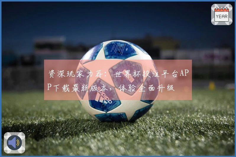 资深玩家力荐：世界杯投注平台APP下载最新版本，体验全面升级