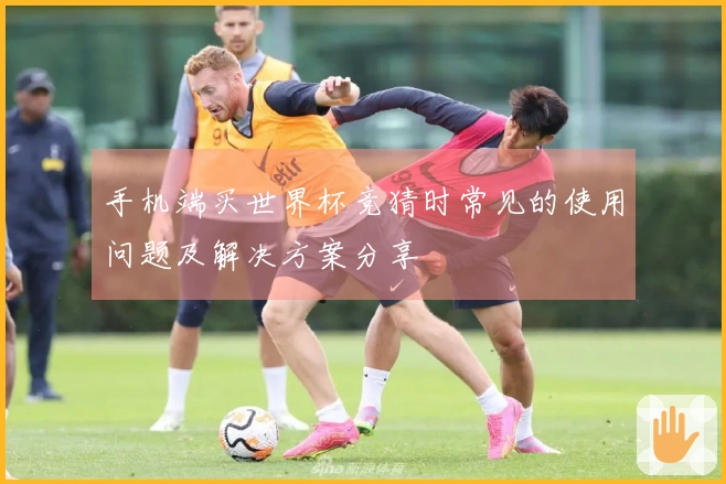 手机端买世界杯竞猜时常见的使用问题及解决方案分享