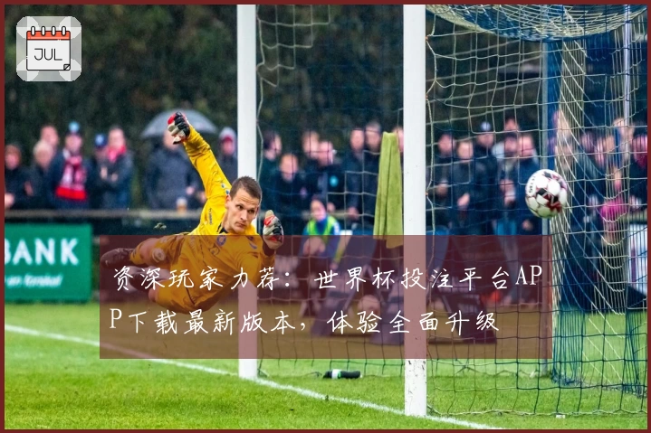 资深玩家力荐：世界杯投注平台APP下载最新版本，体验全面升级