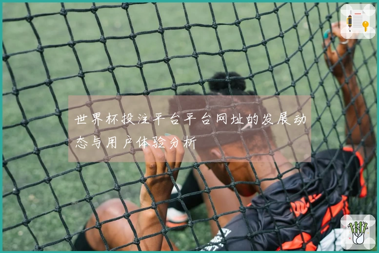 世界杯投注平台平台网址的发展动态与用户体验分析