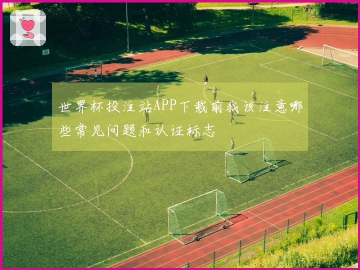 世界杯投注站APP下载前我该注意哪些常见问题和认证标志
