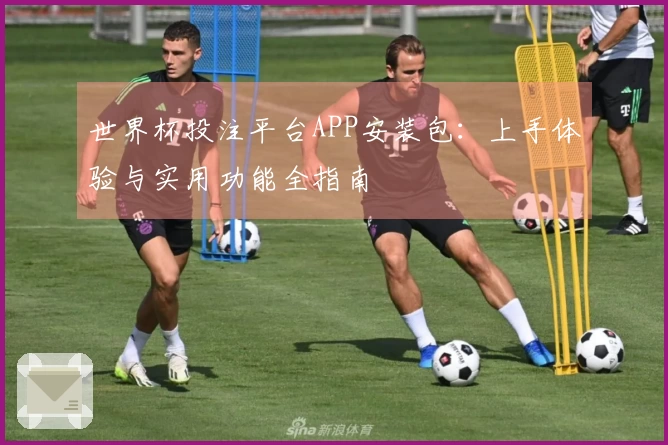 世界杯投注平台APP安装包：上手体验与实用功能全指南